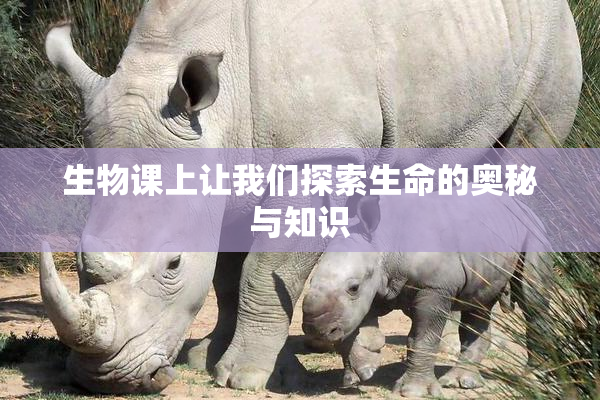 生物课上让我们探索生命的奥秘与知识