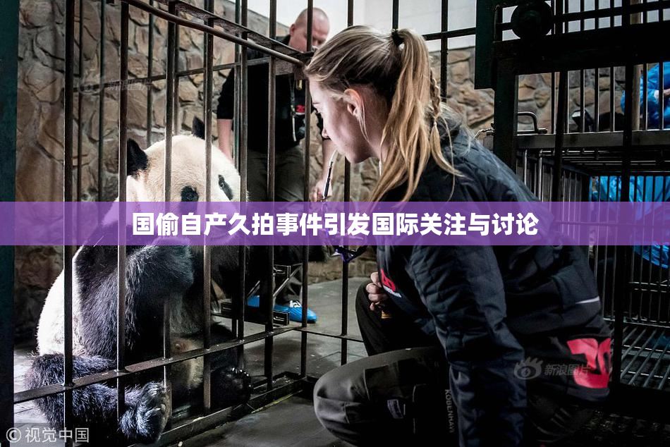 国偷自产久拍事件引发国际关注与讨论