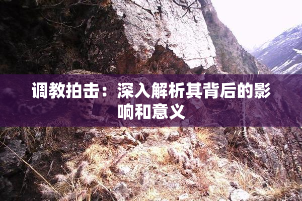 调教拍击：深入解析其背后的影响和意义