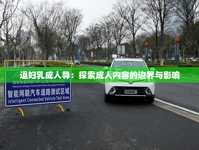 逗妇乳成人导：探索成人内容的边界与影响