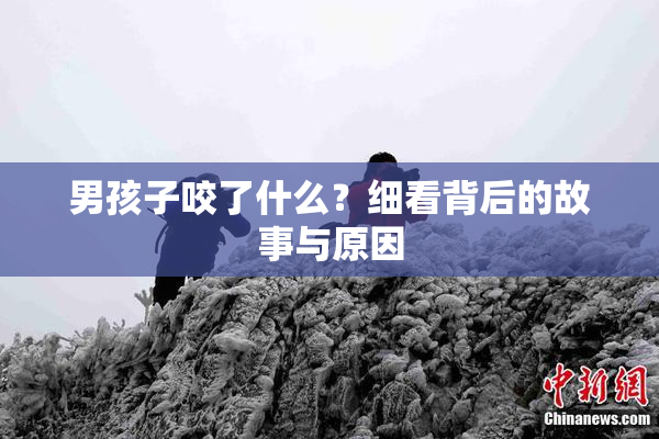 男孩子咬了什么？细看背后的故事与原因