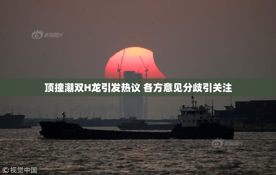 顶撞潮双H龙引发热议 各方意见分歧引关注