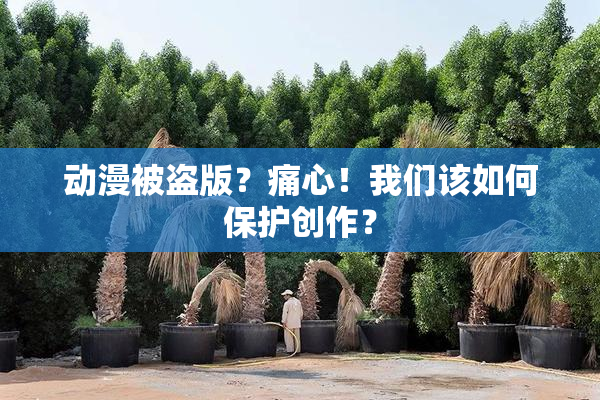 动漫被盗版？痛心！我们该如何保护创作？