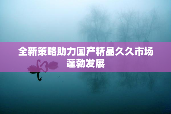全新策略助力国产精品久久市场蓬勃发展