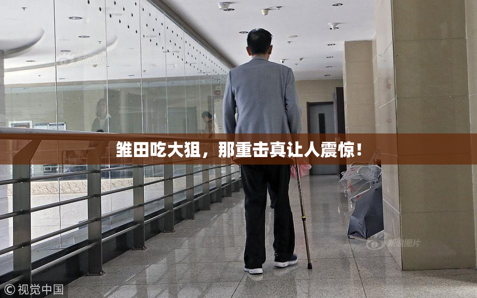 雏田吃大狙，那重击真让人震惊！