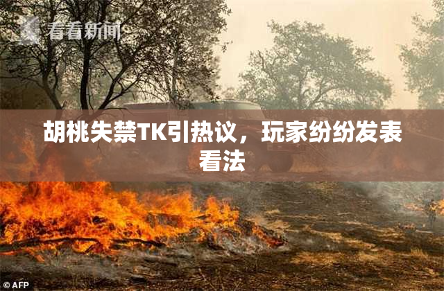 胡桃失禁TK引热议，玩家纷纷发表看法