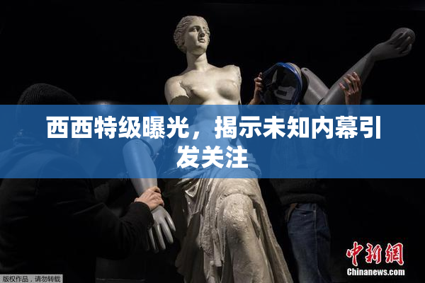 西西特级曝光，揭示未知内幕引发关注