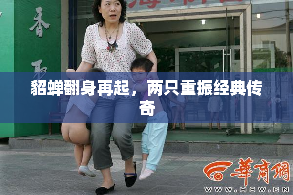 貂蝉翻身再起，两只重振经典传奇