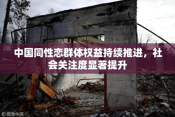 中国同性恋群体权益持续推进，社会关注度显著提升