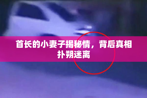 首长的小妻子揭秘情，背后真相扑朔迷离