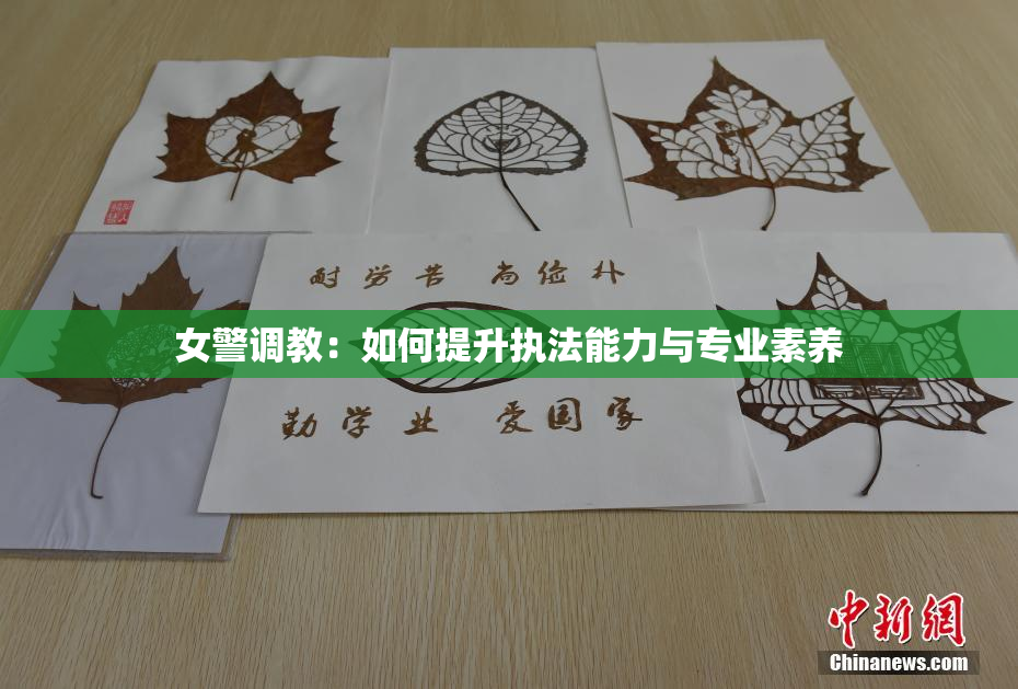 女警调教：如何提升执法能力与专业素养