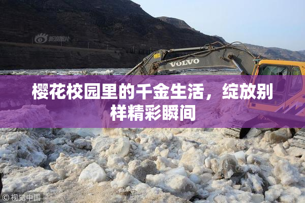 樱花校园里的千金生活，绽放别样精彩瞬间