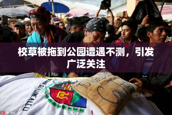 校草被拖到公园遭遇不测，引发广泛关注