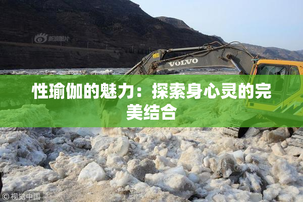 性瑜伽的魅力：探索身心灵的完美结合
