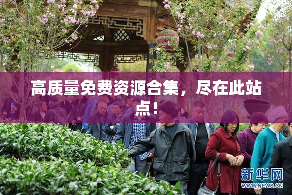 高质量免费资源合集，尽在此站点！