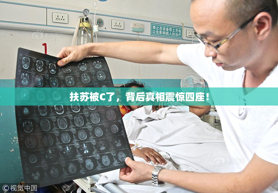 扶苏被C了，背后真相震惊四座！