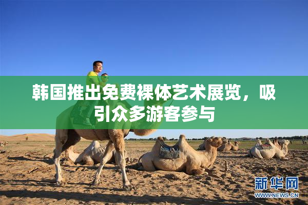 韩国推出免费裸体艺术展览，吸引众多游客参与