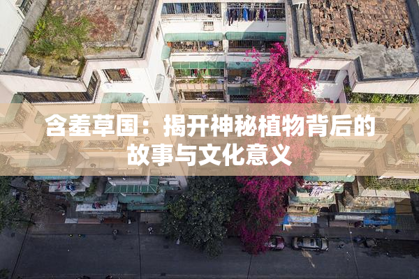 含羞草国：揭开神秘植物背后的故事与文化意义