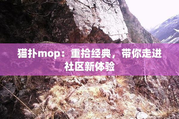 猫扑mop：重拾经典，带你走进社区新体验