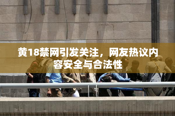 黄18禁网引发关注，网友热议内容安全与合法性