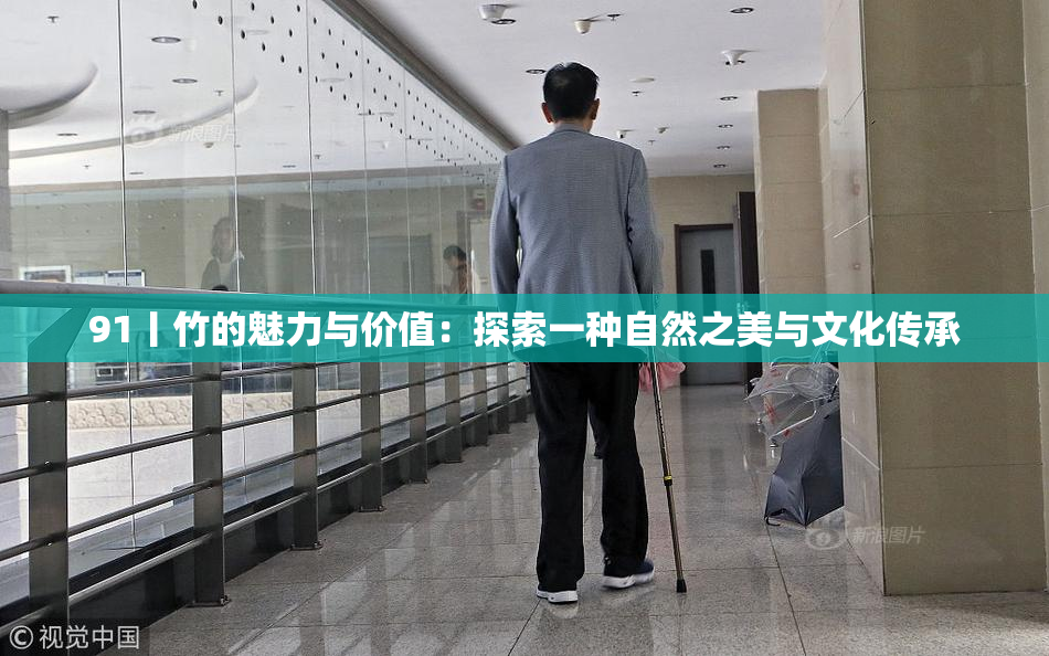 91丨竹的魅力与价值：探索一种自然之美与文化传承