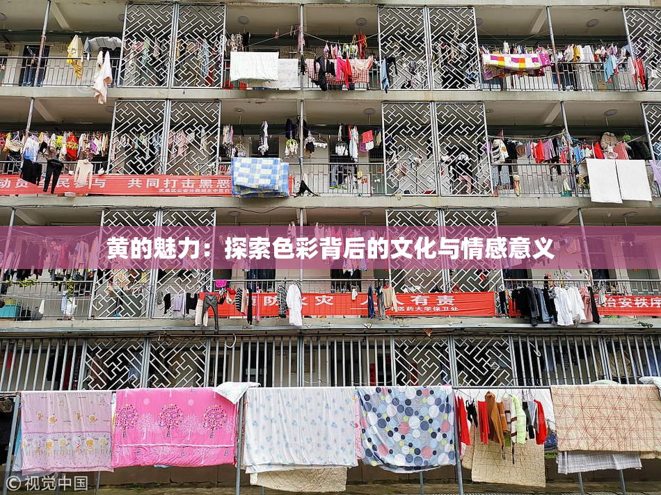 黄的魅力：探索色彩背后的文化与情感意义