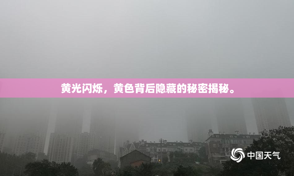 黄光闪烁，黄色背后隐藏的秘密揭秘。
