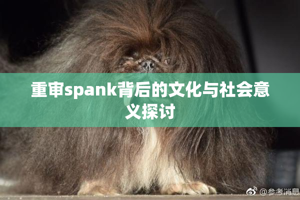 重审spank背后的文化与社会意义探讨