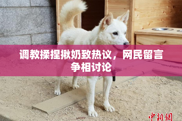 调教揉捏揪奶致热议，网民留言争相讨论