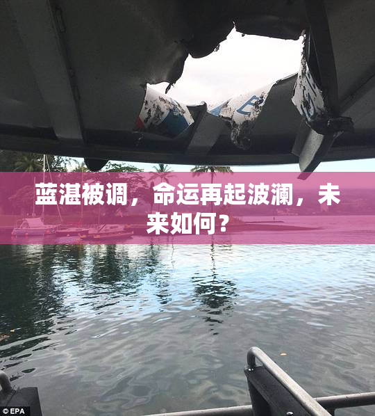 蓝湛被调，命运再起波澜，未来如何？