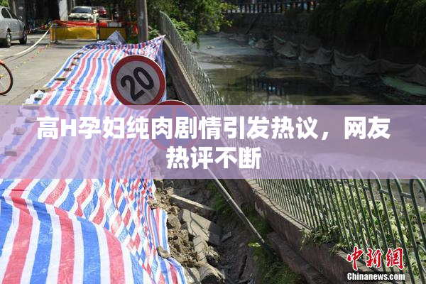 高H孕妇纯肉剧情引发热议，网友热评不断