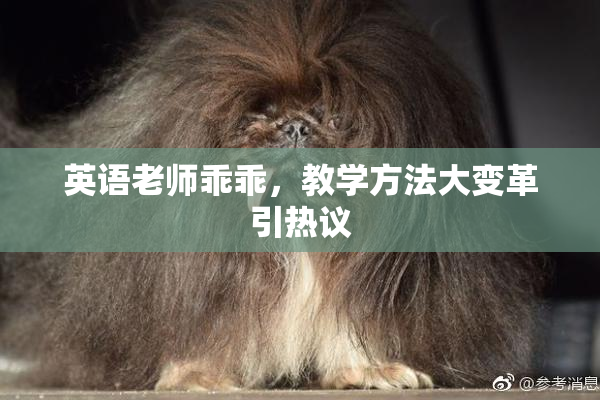 英语老师乖乖，教学方法大变革引热议