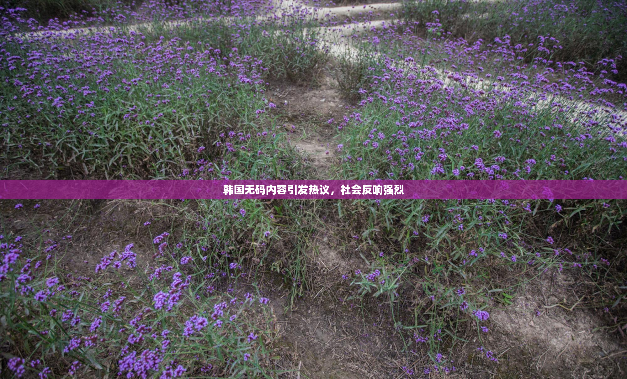韩国无码内容引发热议，社会反响强烈