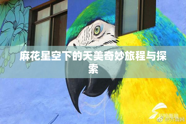 麻花星空下的天美奇妙旅程与探索