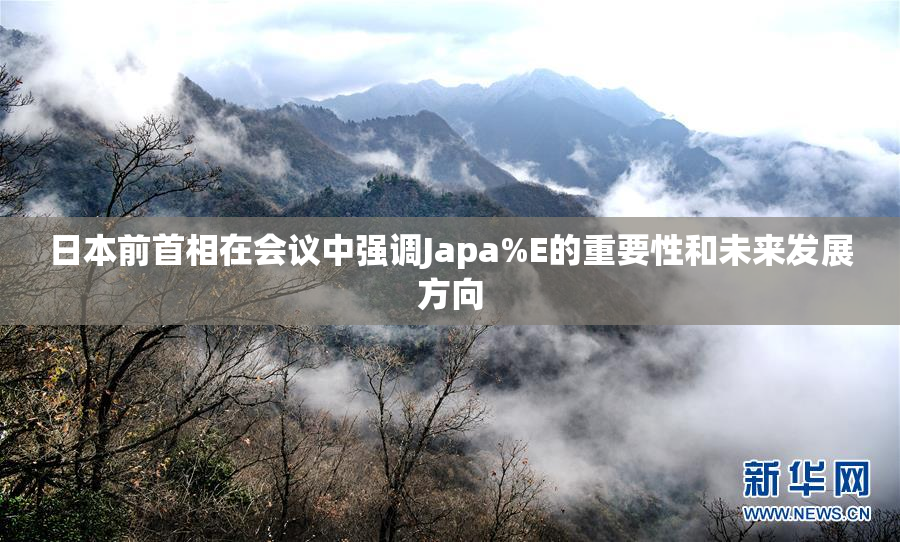 日本前首相在会议中强调Japa%E的重要性和未来发展方向