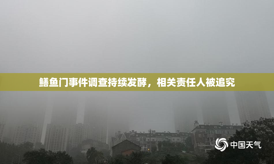 鳝鱼门事件调查持续发酵，相关责任人被追究