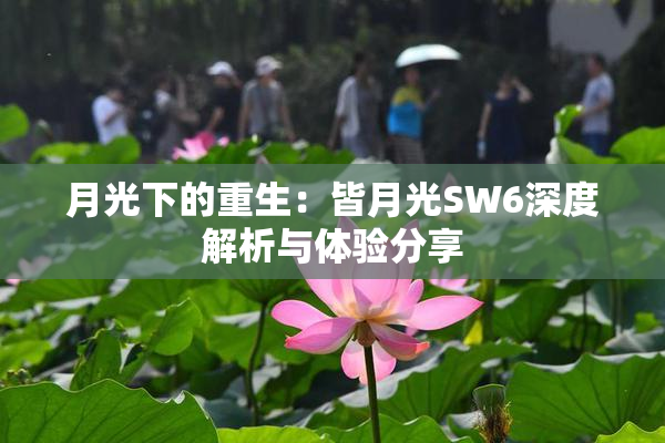 月光下的重生：皆月光SW6深度解析与体验分享