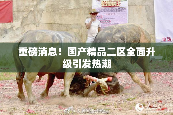 重磅消息！国产精品二区全面升级引发热潮