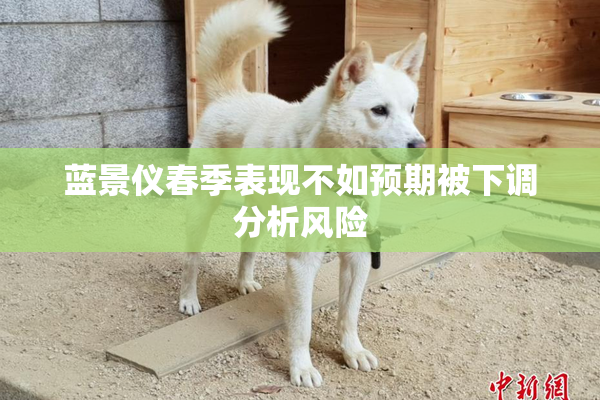 蓝景仪春季表现不如预期被下调分析风险