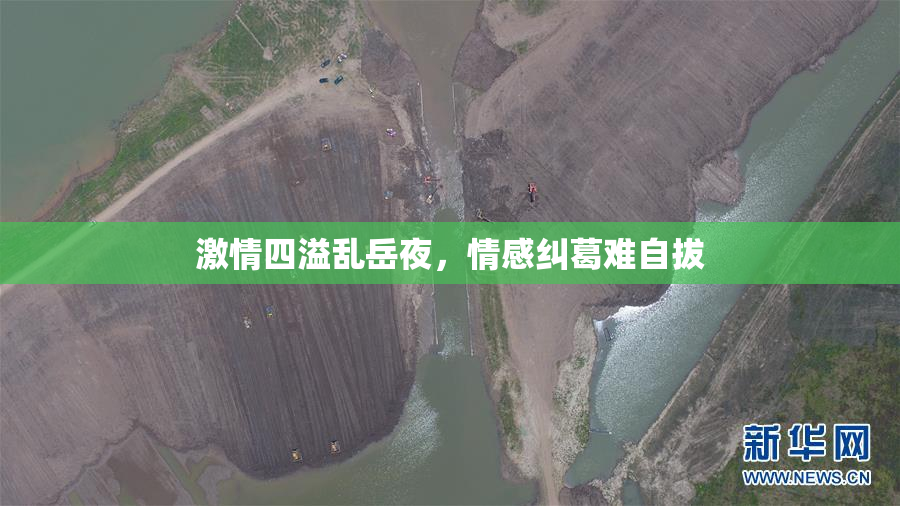 激情四溢乱岳夜，情感纠葛难自拔