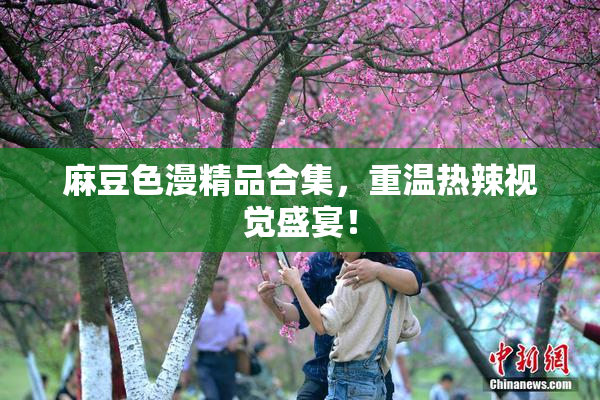 麻豆色漫精品合集，重温热辣视觉盛宴！