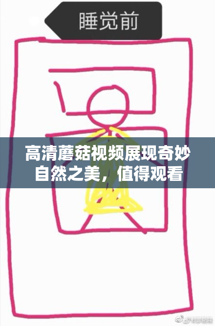 高清蘑菇视频展现奇妙自然之美，值得观看