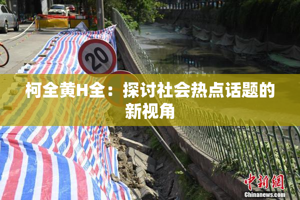 柯全黄H全：探讨社会热点话题的新视角