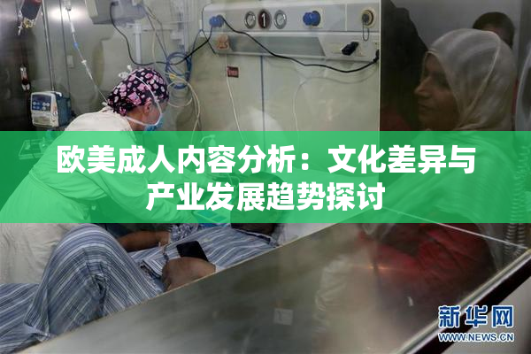 欧美成人内容分析：文化差异与产业发展趋势探讨