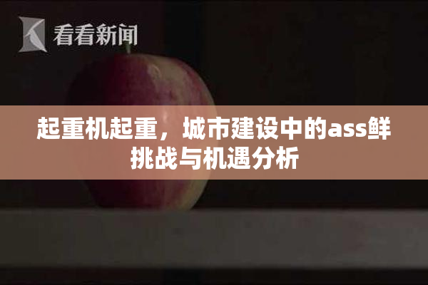 起重机起重，城市建设中的ass鲜挑战与机遇分析