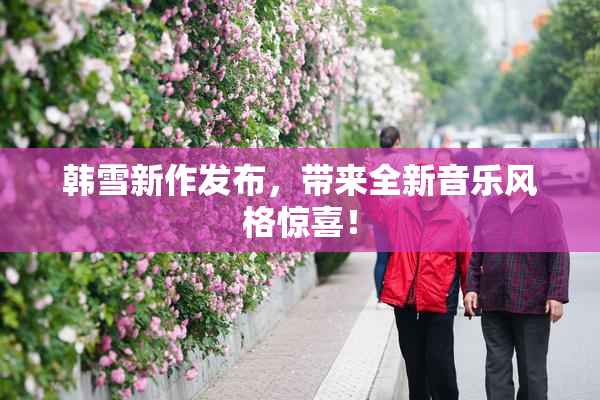 韩雪新作发布，带来全新音乐风格惊喜！