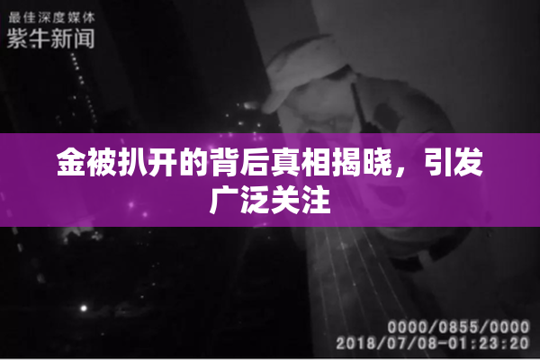 金被扒开的背后真相揭晓，引发广泛关注
