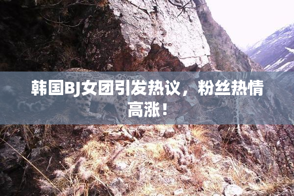 韩国BJ女团引发热议，粉丝热情高涨！