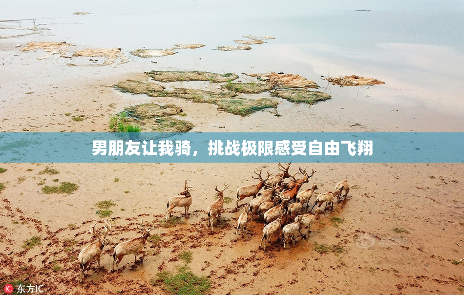 男朋友让我骑，挑战极限感受自由飞翔