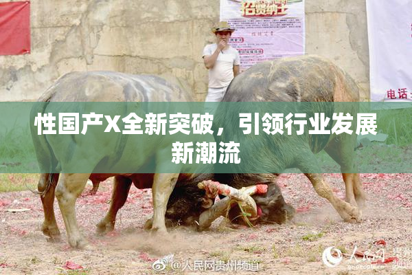 性国产X全新突破，引领行业发展新潮流